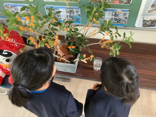 Img_2452_1 Img_2452_1