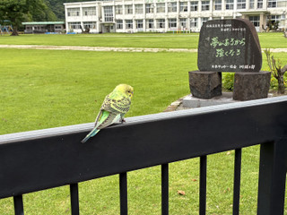 Img_2550 Img_2550