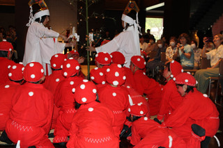 Img_0225 Img_0225