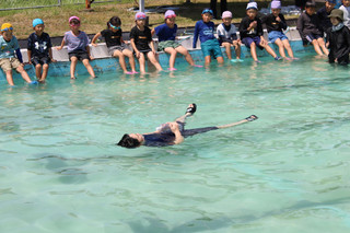 Img_0307 Img_0307