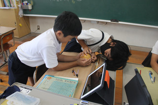 Img_1249 Img_1249