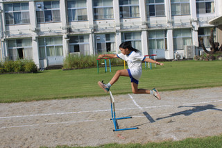 Img_1826 Img_1826