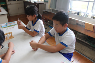 Img_2597 Img_2597