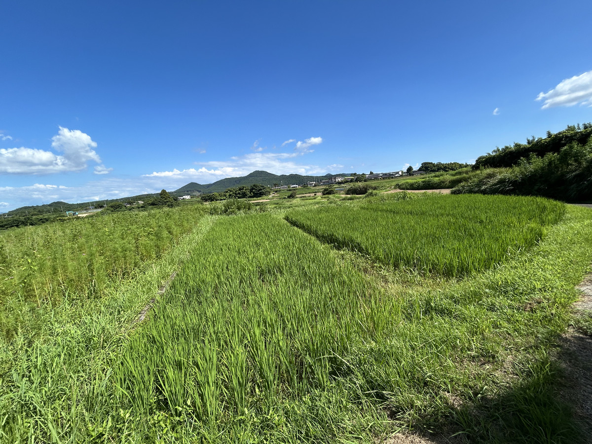 Img_5848_3